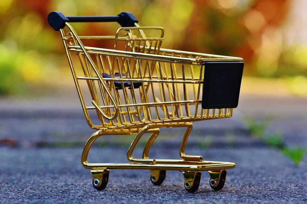 Shopify website development
