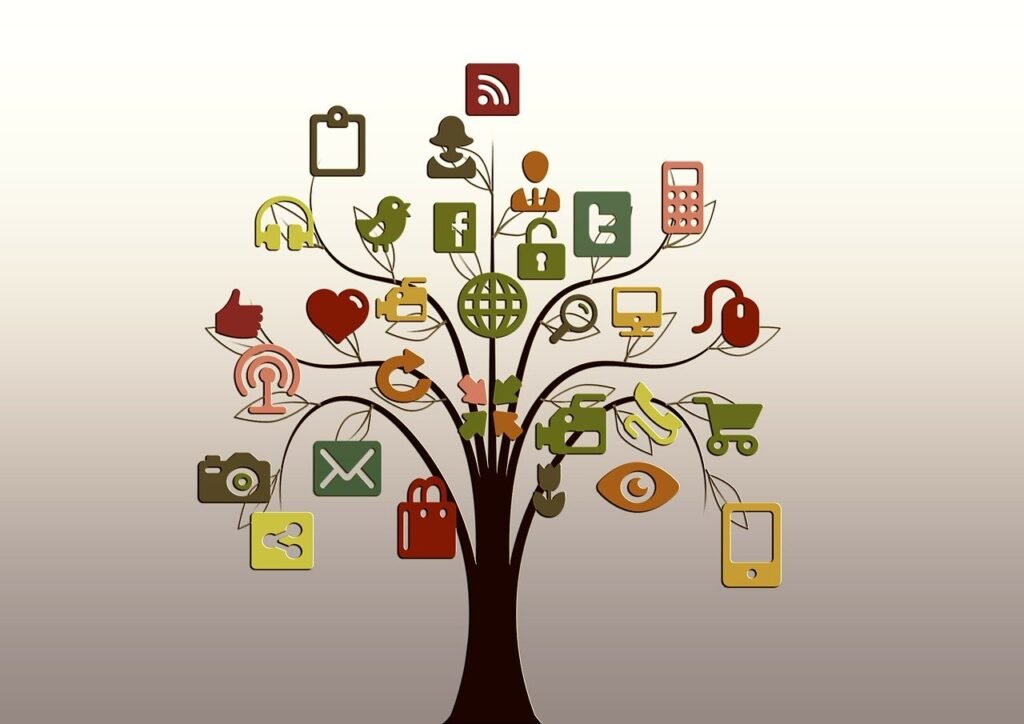Social Media Management Services